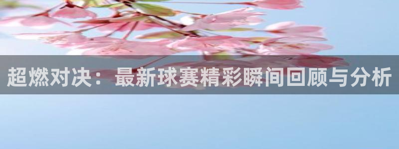  超燃对决：最新球赛精彩瞬间回顾与分析