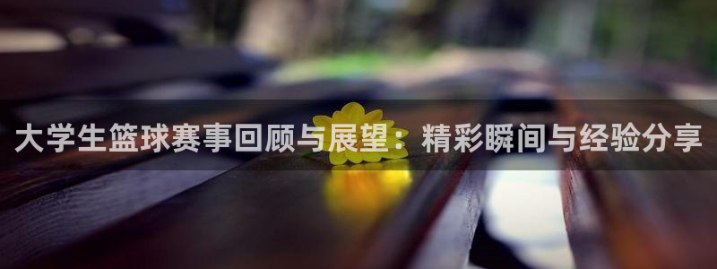  大学生篮球赛事回顾与展望：精彩瞬间与经验分享