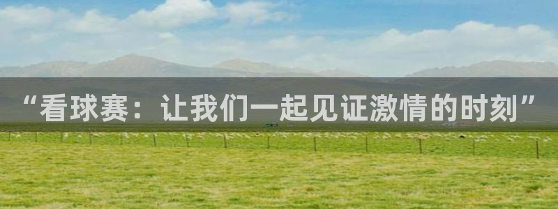 b0b体育综合体育平台：“看球赛：让我们一起见证激情的时刻”