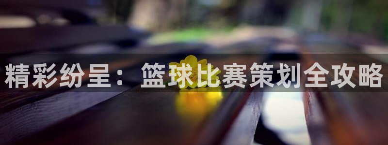 b体育官网入口最新版本下载：精彩纷呈：篮球比赛策划全攻略