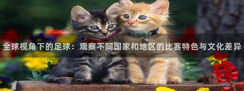 b体育最新版：全球视角下的足球：观察