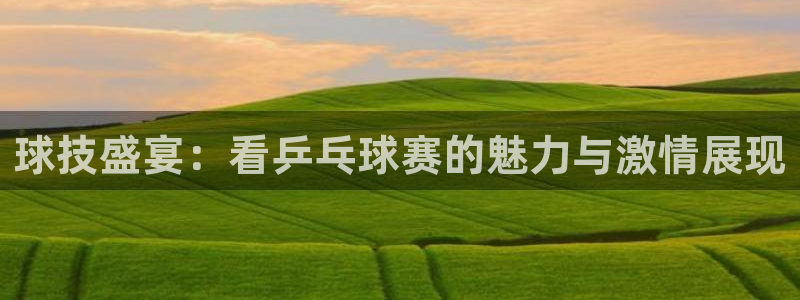  b体育是正规平台吗：球技盛宴：看乒乓球赛的魅力与激情展现