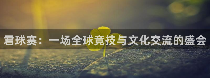 fib体育：君球赛：一场全球竞技与文化交流的盛会