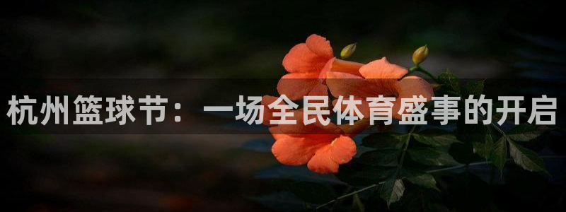  b体育旧版官网下载：杭州篮球节：一场全民体育盛事的开启