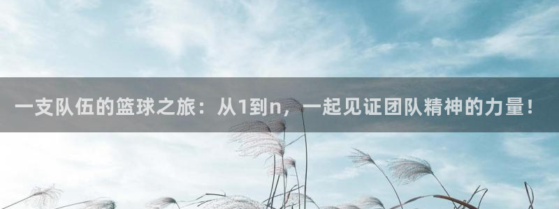  b体育入口：一支队伍的篮球之旅：从1到n，一起见证团队精神的