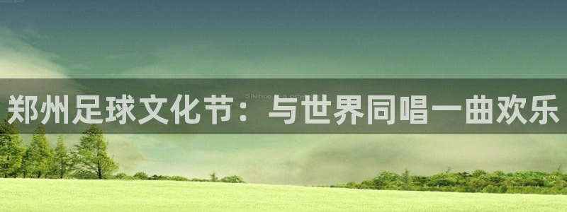b体育官网在线登录网页入口：郑州足球文化节：与世界同唱一曲欢