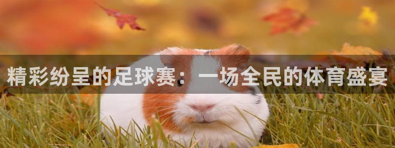  b体育平台：精彩纷呈的足球赛：一场全民的体育盛宴