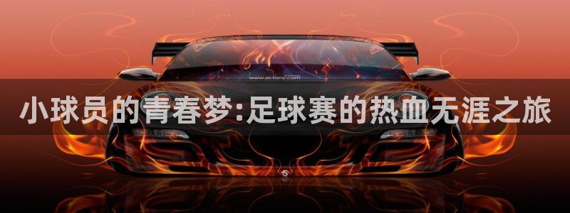 b0b体育平台：小球员的青春梦:足球赛的热血无涯之旅