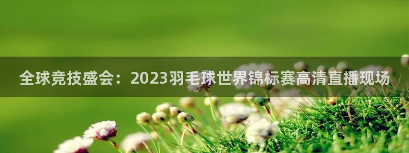 b体育bsport：全球竞技盛会：2023羽毛球世界锦标赛高