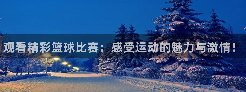  B体育官网下载安装：观看精彩篮球比赛：感受运动的魅力与激情！