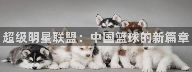  B体育官网下载官方版：超级明星联盟：中国篮球的新篇章